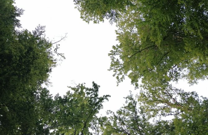 Sjutra pretežno sunčano i toplo, do 35 stepeni