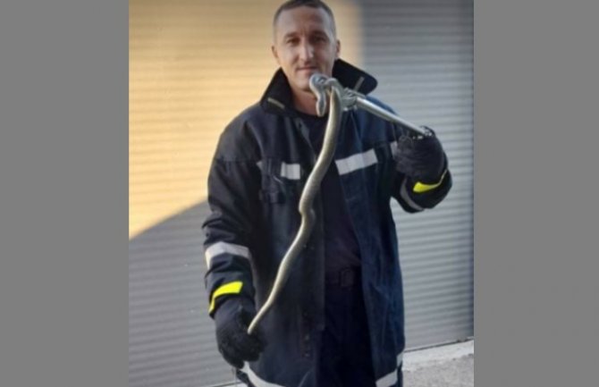 PV: Zmija u motoru automobila 