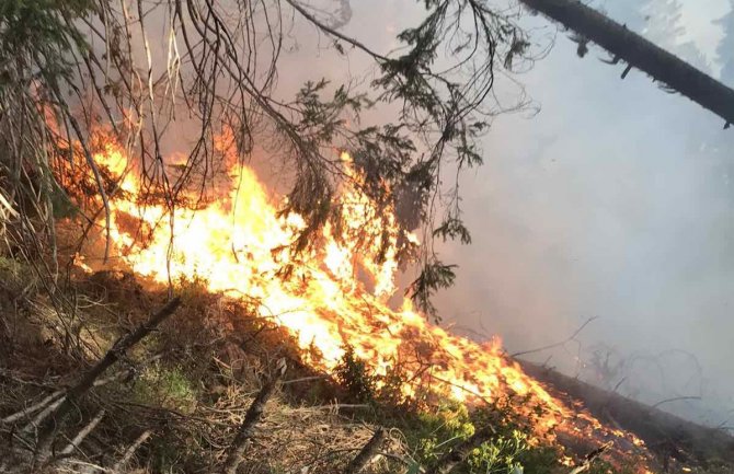 Aktivan požar u NP Prokletije: Nisu uspjeli da ga lokalizuju jer nema podrške nadležnih organa
