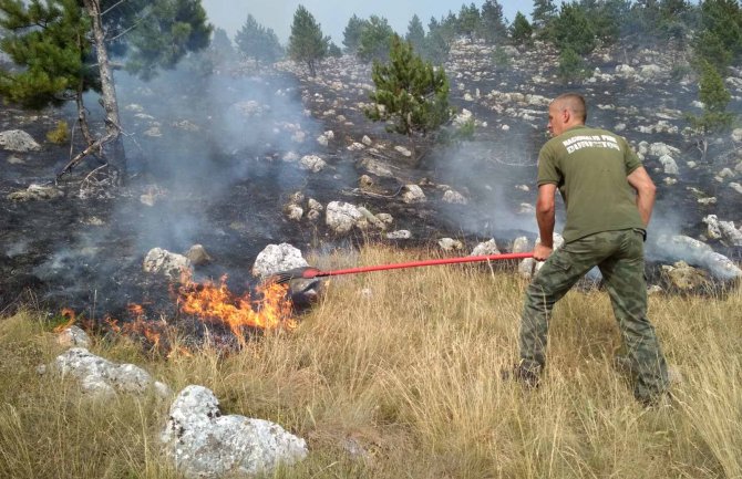 Požar zahvatio područje NP Durmitor