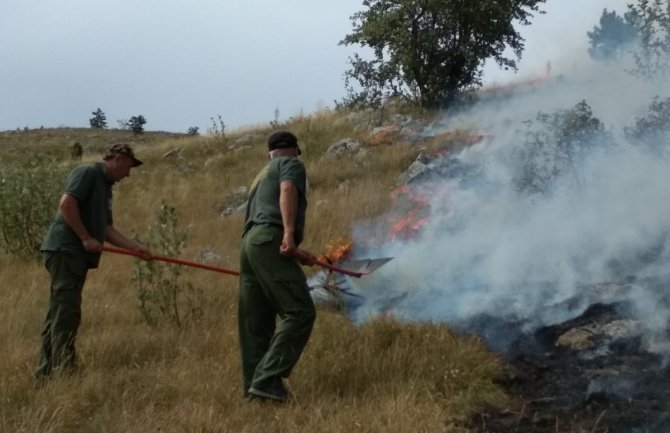 Apel svim nadležnim organima da se hitno uključe u gašenje požara u NP Durmitor