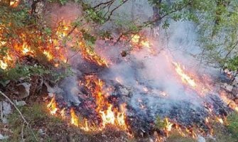 Požari i dalje aktivni u Katunskoj nahiji, velika šteta pričinjena šumama