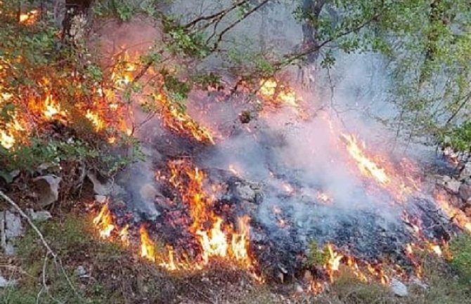 Požari i dalje aktivni u Katunskoj nahiji, velika šteta pričinjena šumama