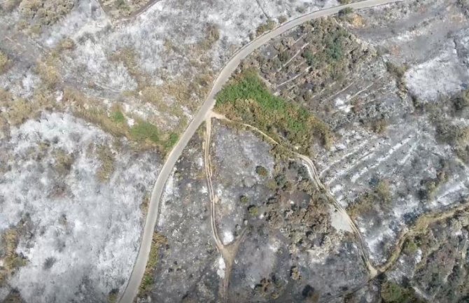 U Baru trenutno nema aktivnih požara, trajno uništeno između 700 i 800 korijena masline