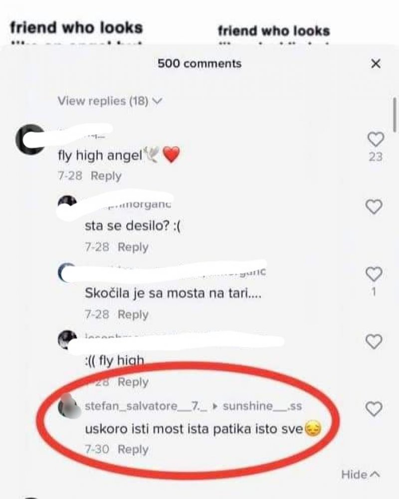 IMG21ff8672b5450d12da8afd553b64670aV1