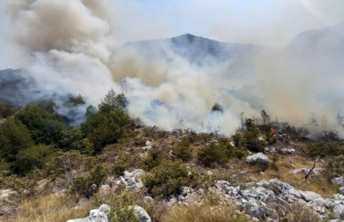 Na Lovćenu i dalje borba sa vatrom