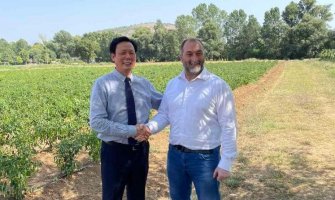 Kineski investitor u Bandićima uzgaja više od 50 organskih sorti povrća iz Azije i uspješno ih plasira na crnogorsko tržište