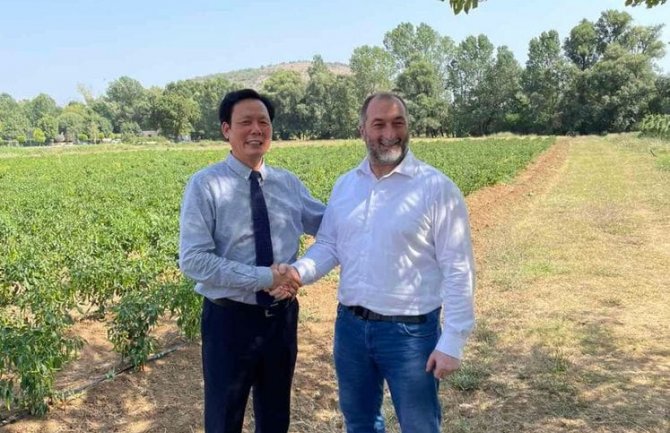 Kineski investitor u Bandićima uzgaja više od 50 organskih sorti povrća iz Azije i uspješno ih plasira na crnogorsko tržište