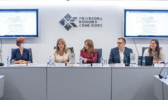 Predstavljena nova kreditna linija IRF-a za fotonaponske panele i subvencije Eko fonda uz podršku UNDP-a