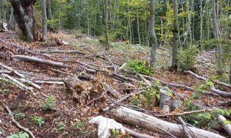  Mještani: Šest godina traje devastacija,krčenje i uništavanje planine Gosteč, osjećamo se ugroženim