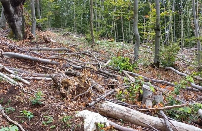  Mještani: Šest godina traje devastacija,krčenje i uništavanje planine Gosteč, osjećamo se ugroženim