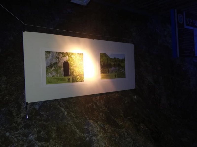 saevropskenocislijepihmiseva1