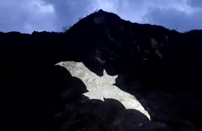 Nacionalni parkovi CG po prvi put obilježili Evropsku noć slijepih miševa