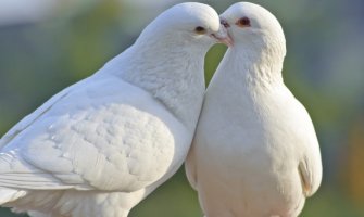 Promjenljivo oblačno, do 30 stepeni