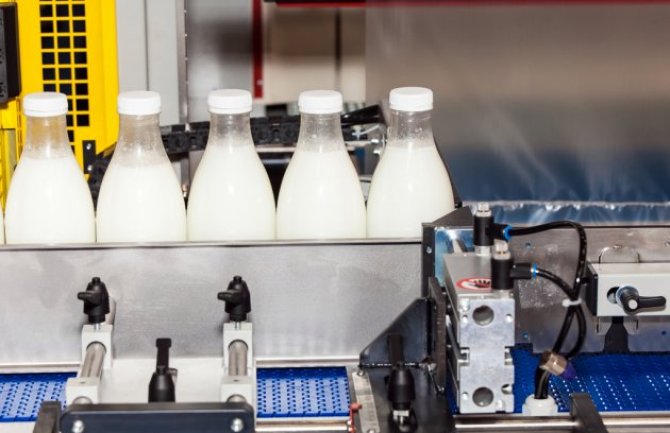 Rastu proizvodnja i otkup mlijeka u Bijelom Polju