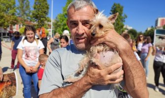 Nikšić: Stop trovanju pasa – stop preuzimanju stvari u svoje ruke