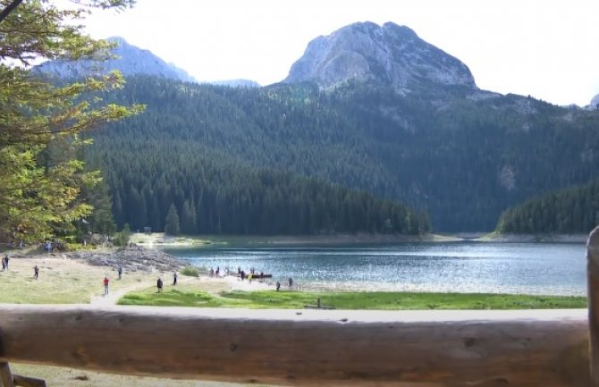 Nakon performansa privedeni aktivisti 