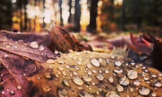 Narednih dana kiša, na planinama moguć snijeg