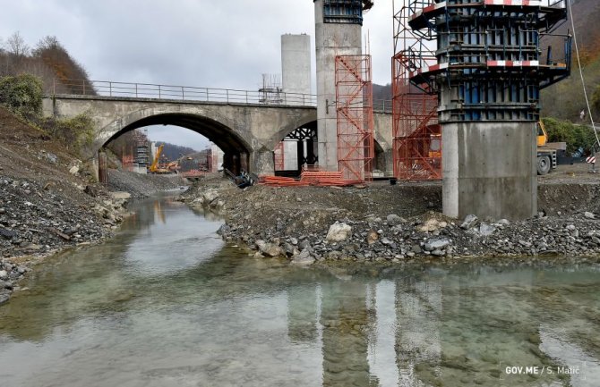 Zbog uništavanja životinjskog biodiverziteta u Tari dužni da isplate 200.000 eura