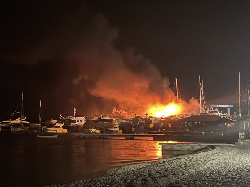 viberimage20211212190324152