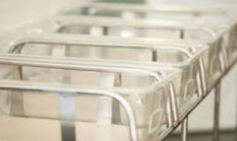 Bijela kuga u 20 opština, najviše se ljudi odseljava iz Bijelog Polja, najviše razvedenih u PG