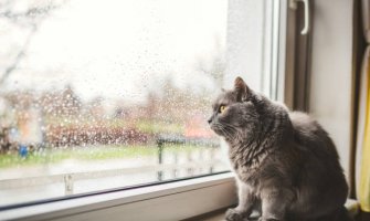 Promjenljivo oblačno, ponegdje slaba kiša 