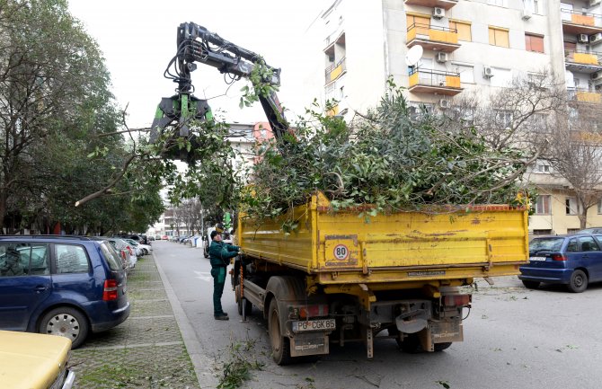 Otklanjaju posljedice nevremena, građani da ne parkiraju vozila pored stabala