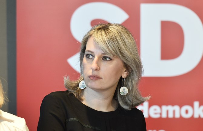 Nišić: SD pruža podršku nezavisnosti, teritorijalnom integritetu i suverenitetu Ukrajine