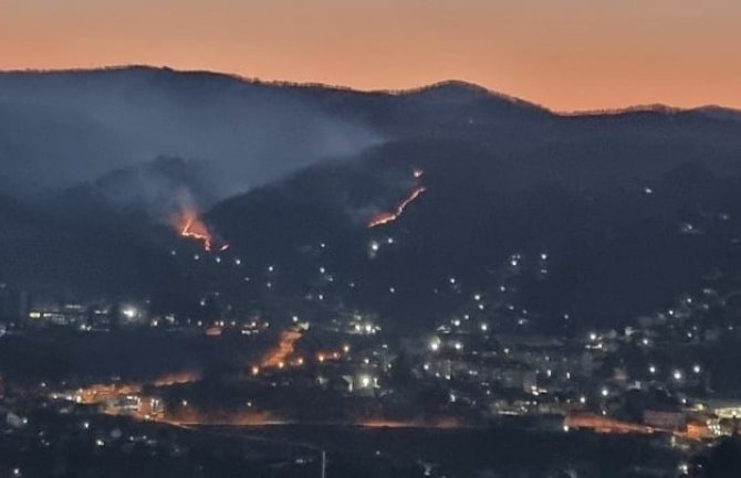 Više šumskih požara u Bijelom Polju: Građani da ne pale vatru na otvorenom