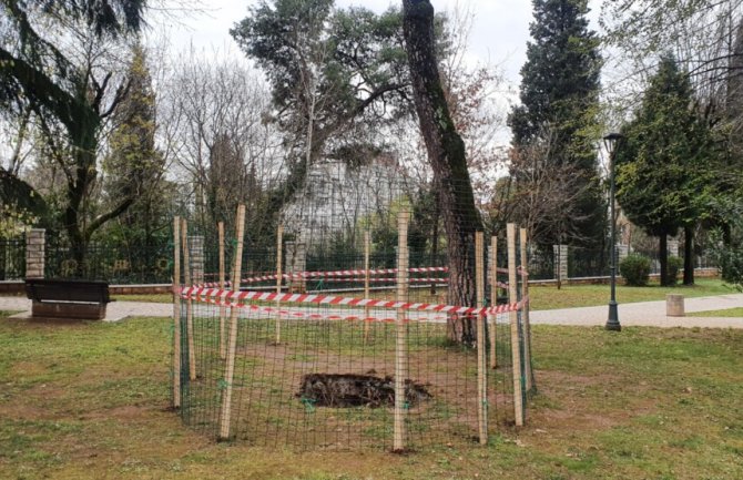 U Kraljevom parku došlo do urušavanja tla, do daljnjeg zatvoren za posjetioce