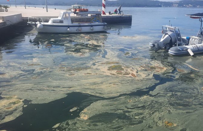 U Tivtu ponovo mrlje na površini mora: Aktivirani nadležni organi, zagađenje ili cvetanje mora?