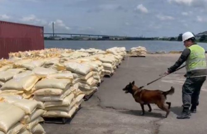 U Kolumbiji palo pet tona kokaina namijenjenih evropskim lukama