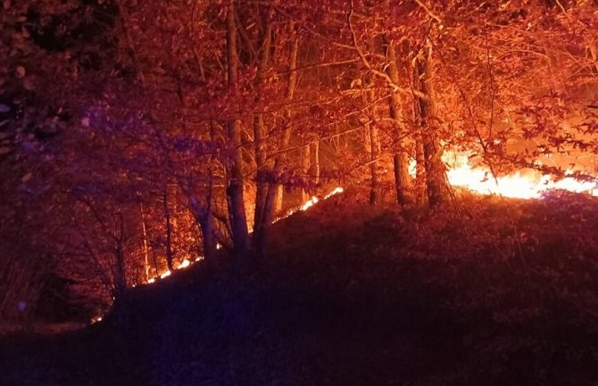 Ugašen veći požar u Mojkovcu: Bile ugrožene i kuće