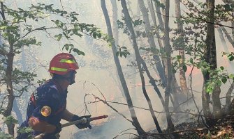 Vatrogascima, spasiocima i pripadnicima Vojske po 200 eura za učešće u gašenju požara