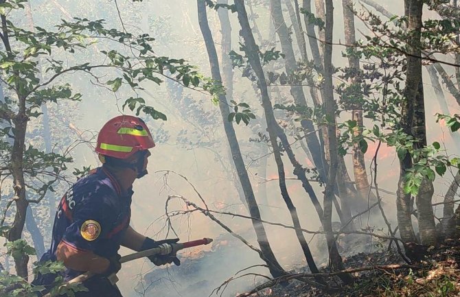 Vatrogascima, spasiocima i pripadnicima Vojske po 200 eura za učešće u gašenju požara