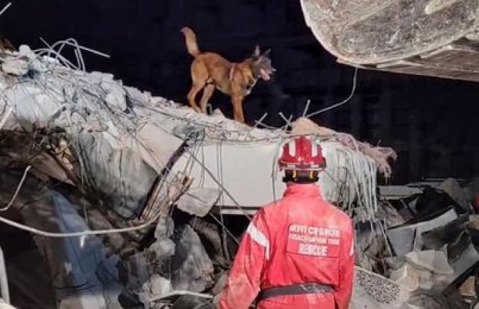 Spasilački pas Zigi spasio još jedan život