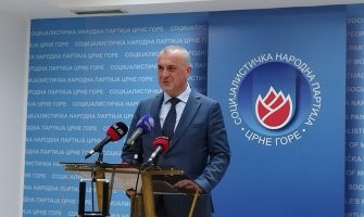 Gajević:  26.februara organi partije  da razmotre ponuđene kandidate i da se izjasne