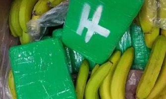 U pošiljci banana iz Ekvadora našli dvije tone kokaina