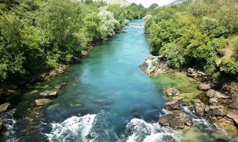 U Zeti otkrivena nova vrsta ribe, dobija ime po Nikšiću