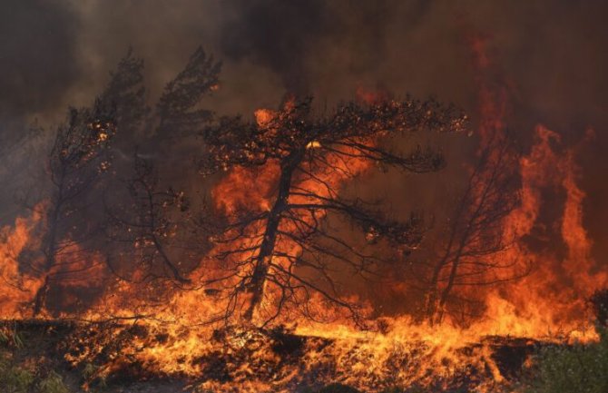 Zbog šumskog požara u Grčkoj evakuacija sedam sela