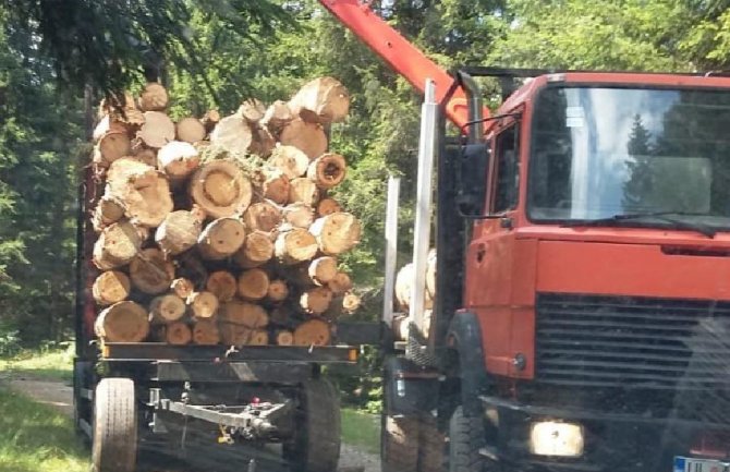 Koncesionari šuma opet uništili put