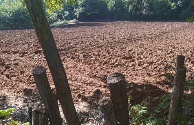 Zbog komšijinog đubriva ne mogu iz kuća