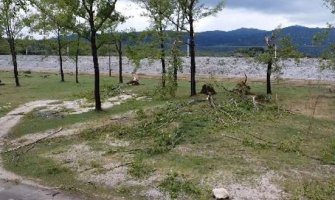 Olujni vjetar napravio veliku štetu topolama pored Krupca