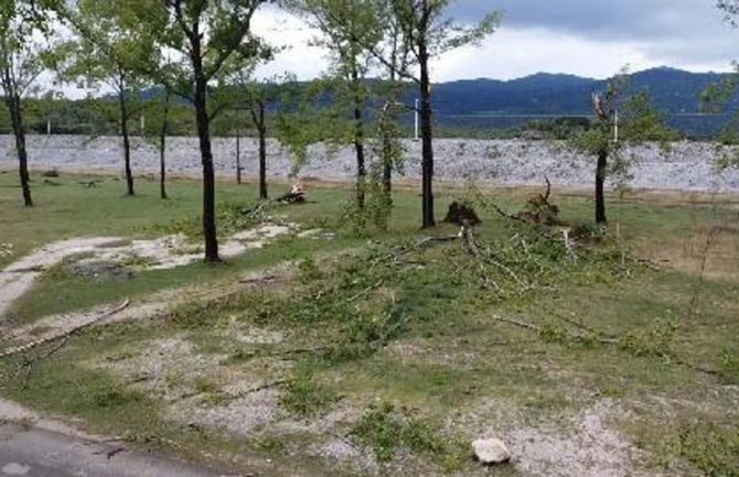 Olujni vjetar napravio veliku štetu topolama pored Krupca