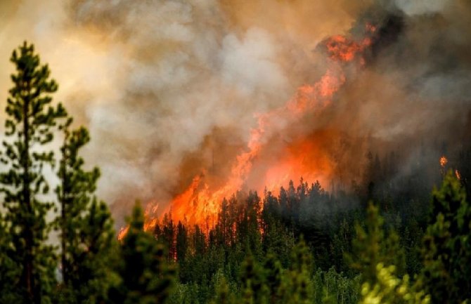 Broj žrtava požara u rudniku povećao se na 44