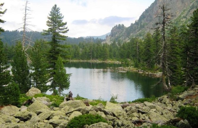 Država ne mari za ekocid u NP Prokletije