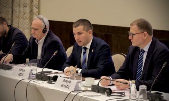 Bečić: Vlada mora biti stabilna, Parlament efikasan, a pravosuđe nepristrasno i konsolidovano