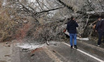 Drvo palo na automobil, jedna osoba povrijeđena