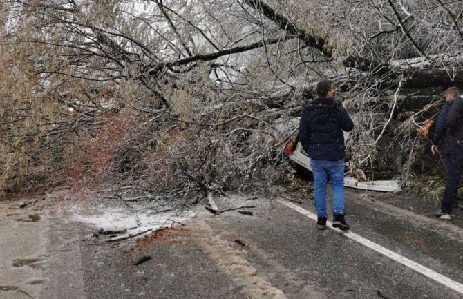 Drvo palo na automobil, jedna osoba povrijeđena