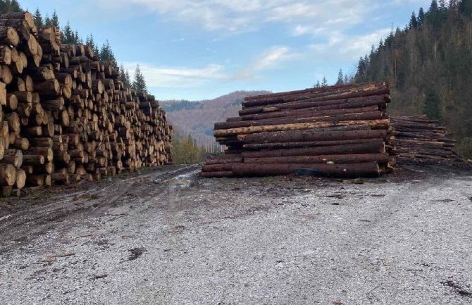 Novi spiskovi i sumnjiva sječa, tužilaštvo da reaguje